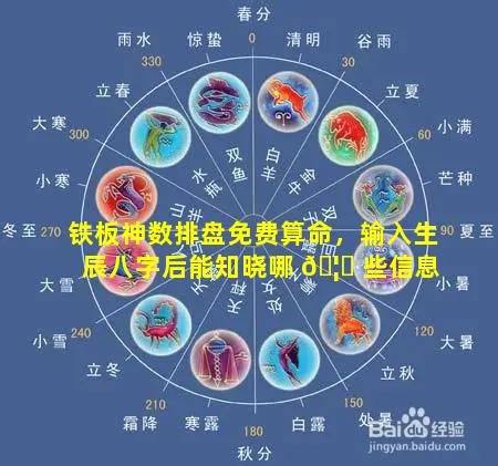 铁板神数排盘免费算命，输入生辰八字后能知晓哪 🦁 些信息